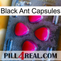 Black Ant Capsules 13